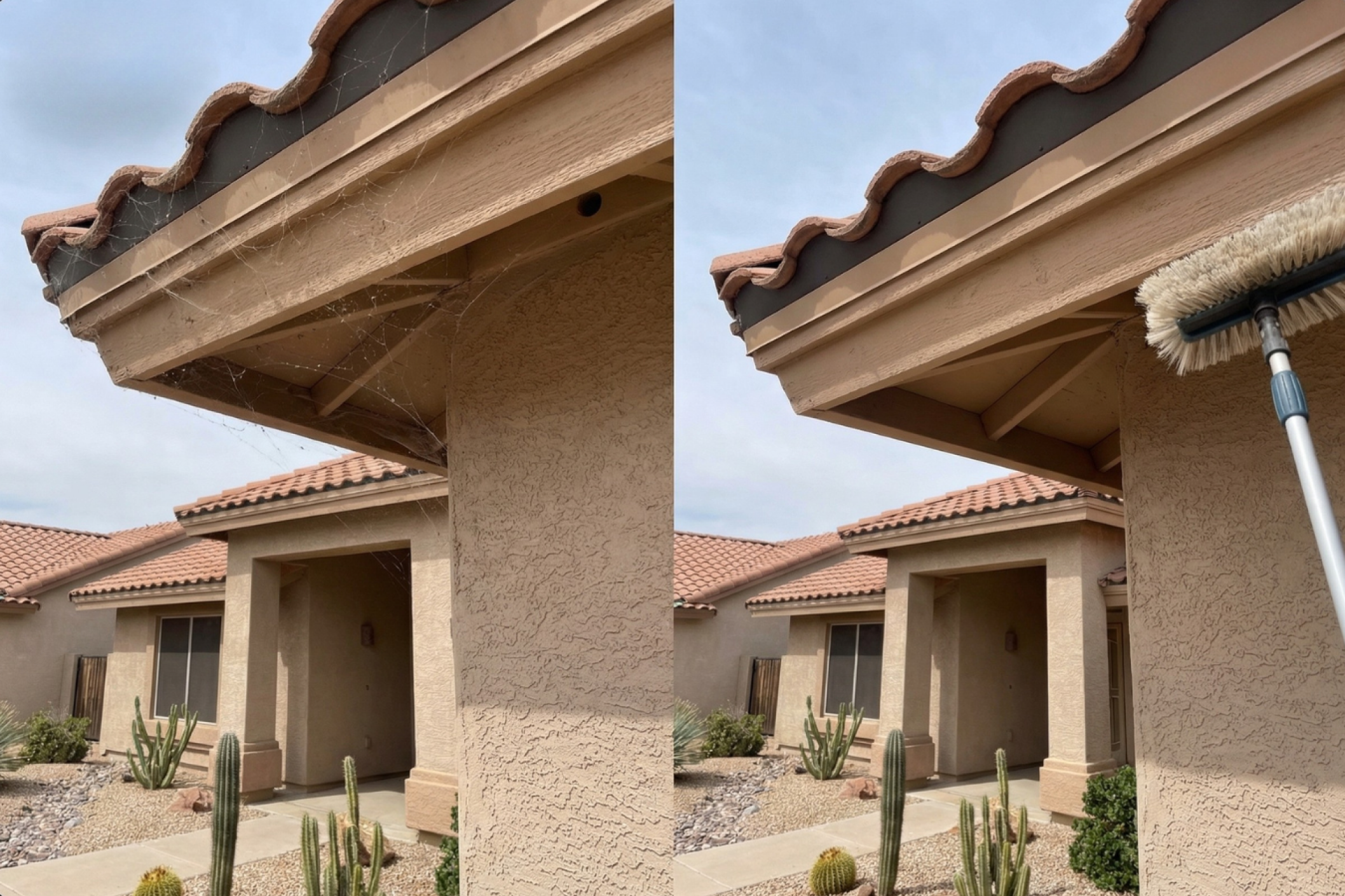 Spiders & Scorpions = Gone