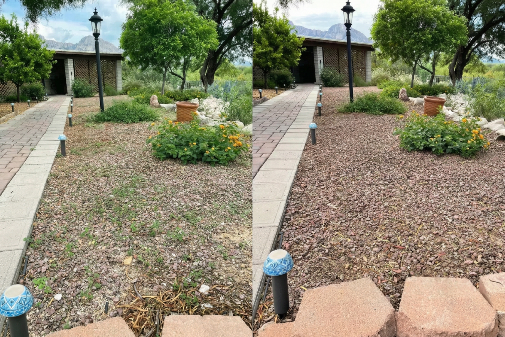 Local Weed Treatment