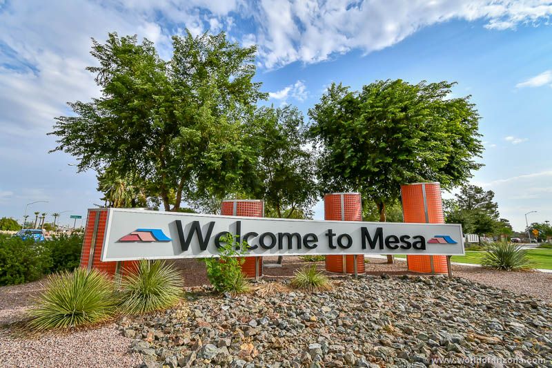 Pest control in Mesa