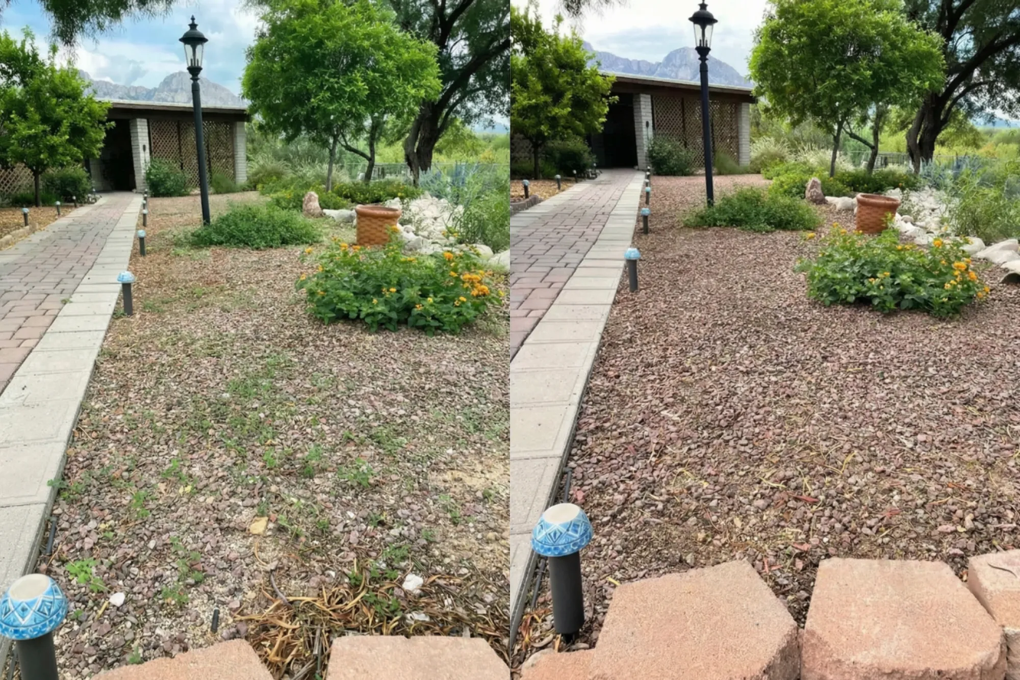 Local Weed Treatment
